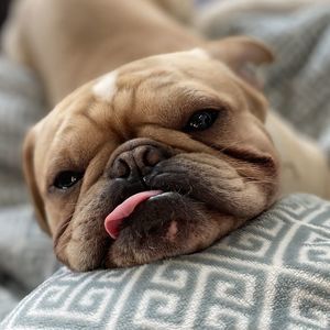 Meet your Posher, Cee